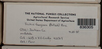 Image Associated With the Occurence